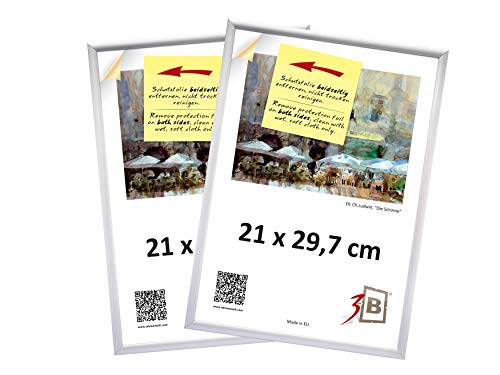 3-B Bilderrahmen ALU FOTO - 2-Pack - 21x29,7 cm (A4) - silber matt - Alurahmen, Fotorahmen mit Polyesterglas. Sparpaket! von 3-B
