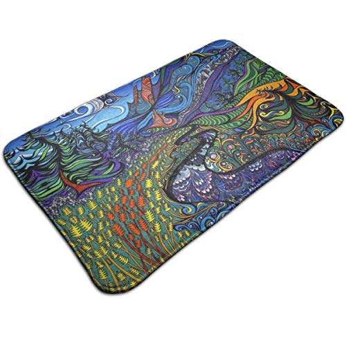 321 Back Door Matten Bunte Künstlerische Malerei Kunst Fußabstreifer Feuchtigkeitsaufnahme Türvorleger Strapazierfähig Door Mat 40X60Cm Für Innenbereich, Deko, Außenbereich von 321