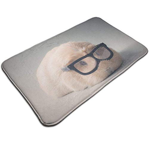 321 Fussabtreter Meerschweinchen Mit Brille Dirty Fußmatte Waschbar Doormat Mikrofaser Fußmatte 40X60Cm Für Innenbereich, Außenbereich, Schlafzimmer von 321