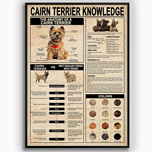 Blech Blechschild Cairn Terrier Wissen Vintage Cairn Terrier Infografik Aluminium Metallschild Lustiges Metallschild Vintage Metallschilder Für Garten, Garage, Café 30x40cm von 321