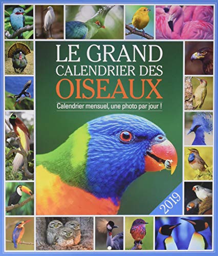 Das große Kalender der Vögel 2019 von 365 PARIS