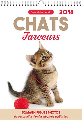 Kalender Street Katzen familienjuwel 2018 von 365 PARIS