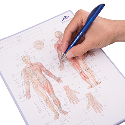 3B Scientific Akupunktur-Meridian-Notizblock, Spanisch von 3B Scientific
