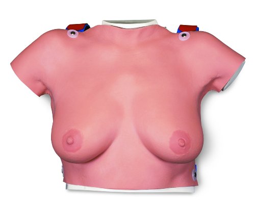 3B Scientific Brust-Tastmodell zum Umhängen von 3B Scientific