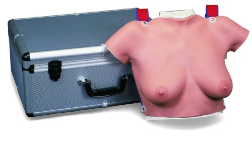 3B Scientific Brust-Tastmodell zum Umhängen von 3B Scientific
