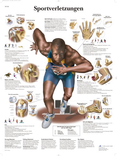 3B Scientific Lehrtafel - Sportverletzungen, VR0188UU von 3B Scientific