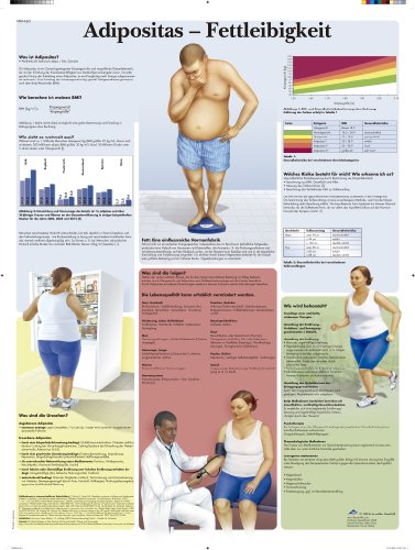 3B Scientific Lehrtafel laminiert - Adipositas - Fettleibigkeit von 3B Scientific