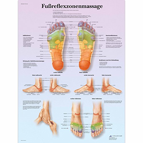 3B Scientific Lehrtafel laminiert - Fußreflexzonenmassage, 50 x 67 cm von 3B Scientific