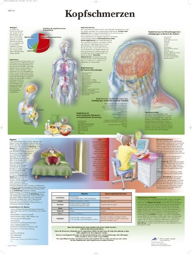 3B Scientific Lehrtafel laminiert - Kopfschmerzen von 3B Scientific