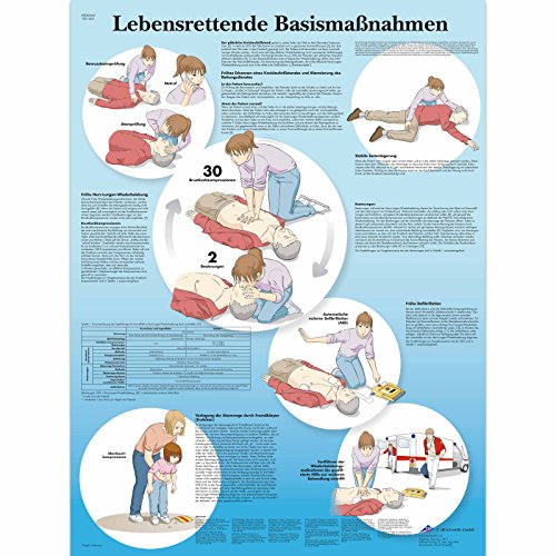 3B Scientific Lehrtafel laminiert - Lebensrettende Basismaßnahmen von 3B Scientific