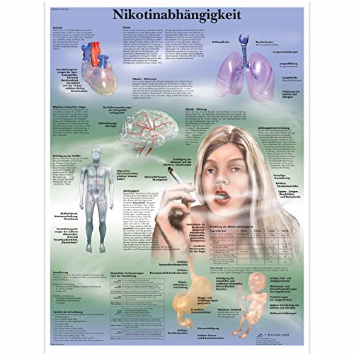 3B Scientific Lehrtafel laminiert - Nikotinabhängigkeit von 3B Scientific