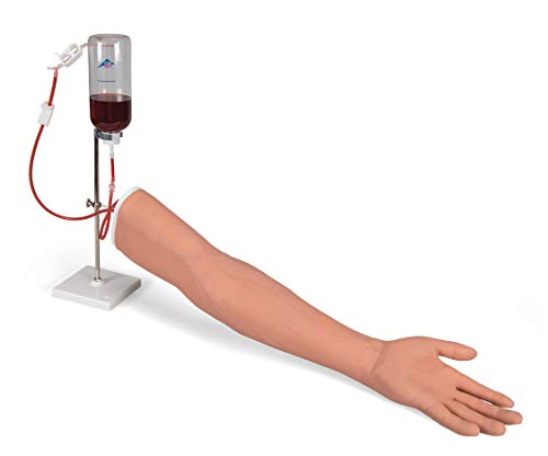 3B Scientific P50/1 Intravenöse Injektionsarm 3B Scientific P50/1 Intravenöse Injektionsarm von 3B Scientific