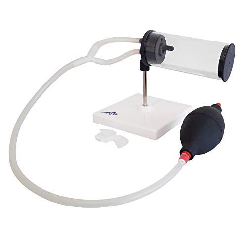 3B Scientific - Rauchermodell 3 in 2 3B Scientific - Rauchermodell 3 in 2 von 3B Scientific