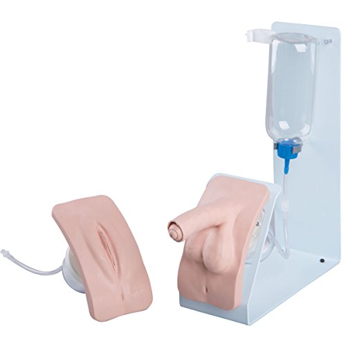 3B Scientific Katheterisierungssimulator Set BASIC von 3B Scientific