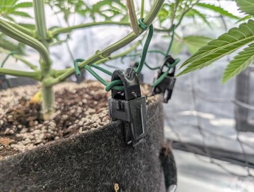3DGROW 8x LST Clip für Stofftöpfe Low-Stress-Training Zubehör für Grow Box Zelt Schrank für Growbox Homebox Growschrank Spider Farmer Zelsius Vevor Secret Jardin Mars Hydro von 3D GROW