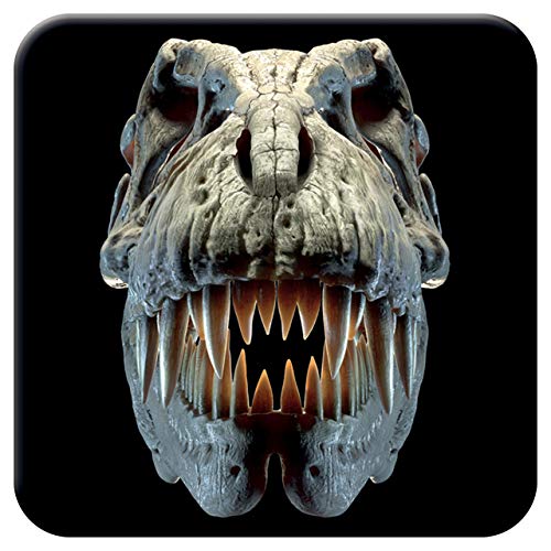 3D LiveLife Kork Matte - T-Rex Schädel von Deluxebase. Linsenförmige-3D-Kork Dinosaurier Untersetzer. rutschfeste Getränkematte mit Originalkunstwerk lizenziert vom bekannt Künstler David Penfound von 3D LiveLife