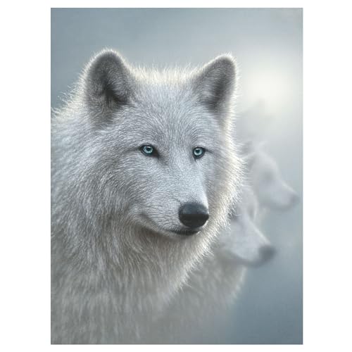 3D LiveLife Lenticular Wall Art Prints - White Out from Deluxebase Ungerahmtes 3D-Poster Wolfshase Ein perfekter Wandfüller Original-Kunstwerk lizenziert vom renommierten Künstler Collin Bogle 3D LiveLife Lenticular Wall Art Prints - White Out from Deluxebase Ungerahmtes 3D-Poster Wolfshase Ein perfekter Wandfüller Original-Kunstwerk lizenziert vom renommierten Künstler Collin Bogle von 3D LiveLife