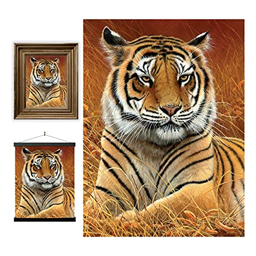 3D LiveLife Linsenförmige Wandkunst Drucke - Aloof von Deluxebase. Ungerahmtes 3D Tiger Poster. Perfekter Wandfüller. Original kunstwerk lizenziert von bekannt künstler, Jeremy Paul von 3D LiveLife