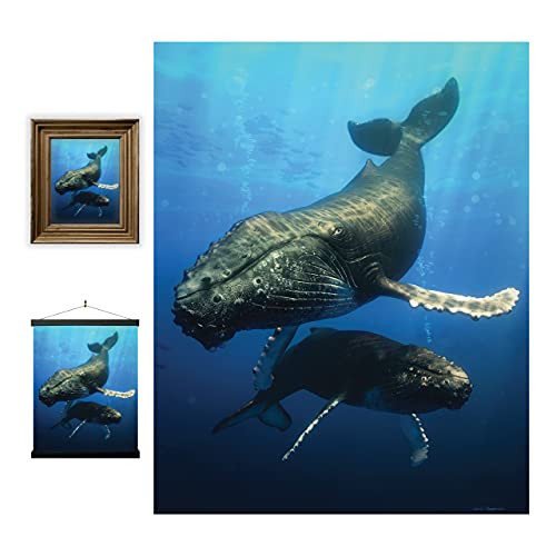 3D LiveLife Linsenförmige Wandkunst Drucke - Blauwal von Deluxebase. Ungerahmtes 3D Ozean Poster. Perfekter Wandfüller. Original kunstwerk lizenziert von bekannt künstler, David Penfound von 3D LiveLife