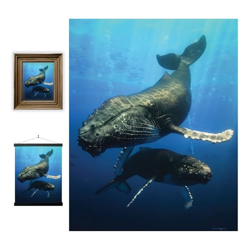3D LiveLife Linsenförmige Wandkunst Drucke - Blauwal von Deluxebase. Ungerahmtes 3D Ozean Poster. Perfekter Wandfüller. Original kunstwerk lizenziert von bekannt künstler, David Penfound 3D LiveLife Linsenförmige Wandkunst Drucke - Blauwal von Deluxebase. Ungerahmtes 3D Ozean Poster. Perfekter Wandfüller. Original kunstwerk lizenziert von bekannt künstler, David Penfound von 3D LiveLife