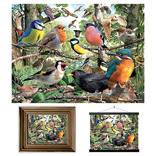 3D LiveLife Linsenförmige Wandkunst Drucke - Heimat der Natur von Deluxebase. Ungerahmtes 3D Vogel Poster. Perfekter Wandfüller. Original kunstwerk lizenziert von bekannt künstler, David Penfound von 3D LiveLife