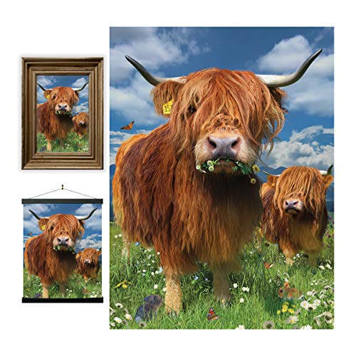 3D LiveLife Linsenförmige Wandkunst Drucke - Hochlandrinder von Deluxebase. Ungerahmtes 3D Kuh Poster. Perfekter Wandfüller. Original kunstwerk lizenziert von bekannt künstler, David Penfound 3D LiveLife Linsenförmige Wandkunst Drucke - Hochlandrinder von Deluxebase. Ungerahmtes 3D Kuh Poster. Perfekter Wandfüller. Original kunstwerk lizenziert von bekannt künstler, David Penfound von 3D LiveLife