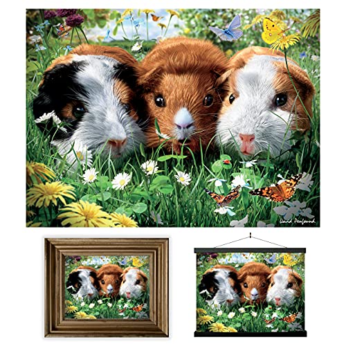 3D LiveLife Linsenförmige Wandkunst Drucke - Meerschweinchen von Deluxebase. Ungerahmtes 3D Haustier. Perfekter Wandfüller. Original kunstwerk lizenziert von bekannt künstler, David Penfound von 3D LiveLife