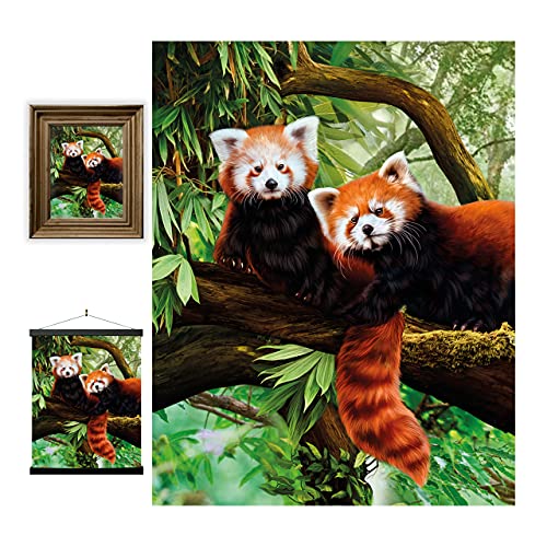 3D LiveLife Linsenförmige Wandkunst Drucke - Rote Pandas von Deluxebase. Ungerahmtes 3D Wildtier Poster. Perfekter Wandfüller. Original kunstwerk lizenziert von bekannt künstler, Katrina Sokolo von 3D LiveLife