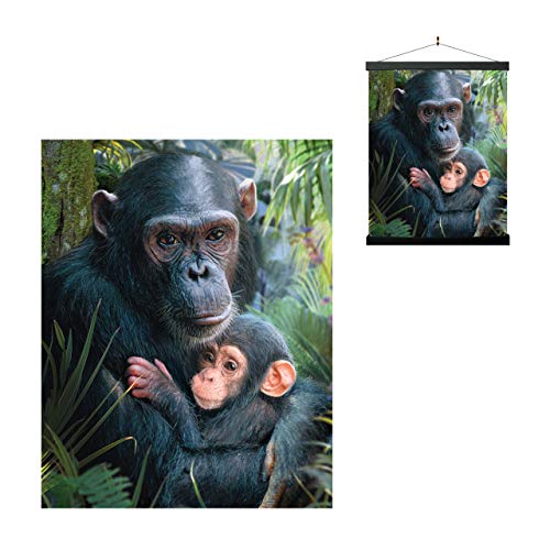 3D LiveLife Linsenförmige Wandkunst Drucke - Süße Kuscheln von Deluxebase. Ungerahmtes 3D Schimpanse Poster. Perfekter Wandfüller. Original kunstwerk lizenziert von bekannt künstler, David Penfound 3D LiveLife Linsenförmige Wandkunst Drucke - Süße Kuscheln von Deluxebase. Ungerahmtes 3D Schimpanse Poster. Perfekter Wandfüller. Original kunstwerk lizenziert von bekannt künstler, David Penfound von 3D LiveLife