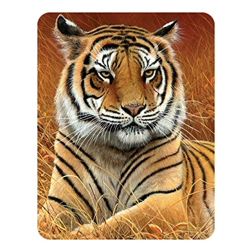 3D LiveLife Magnet - Aloof von Deluxebase. Linsenförmige 3D Tiger Kühlschrankmagnet. Dekoration für Kinder und Erwachsene mit Kunstwerk lizenziert von bekannt Künstler, Jeremy Paul von 3D LiveLife