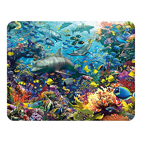 3D LiveLife Magnet - Delphin Freude von Deluxebase. Linsenförmige 3D Ozean Kühlschrankmagnet. Dekoration für Kinder und Erwachsene mit Kunstwerk lizenziert von bekannt Künstler, David Penfound von 3D LiveLife