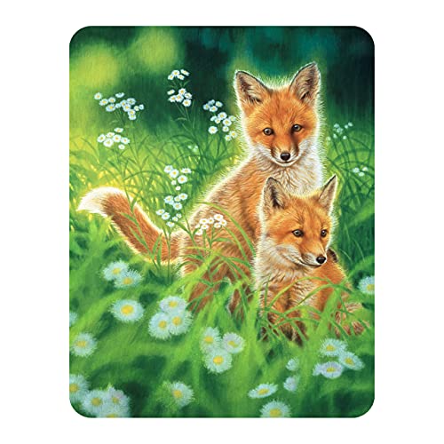 3D LiveLife Magnet - Frühlingsfüchse von Deluxebase. Linsenförmige 3D Fuchs Kühlschrankmagnet. Dekoration für Kinder und Erwachsene mit Kunstwerk lizenziert von bekannt Künstler, Joh Naito von 3D LiveLife