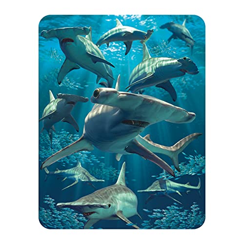 3D LiveLife Magnet - Hammerhaifisch von Deluxebase. Linsenförmige 3D Haifisch Kühlschrankmagnet. Dekoration für Kinder und Erwachsene mit Kunstwerk lizenziert von bekannt Künstler, David Penfound von 3D LiveLife