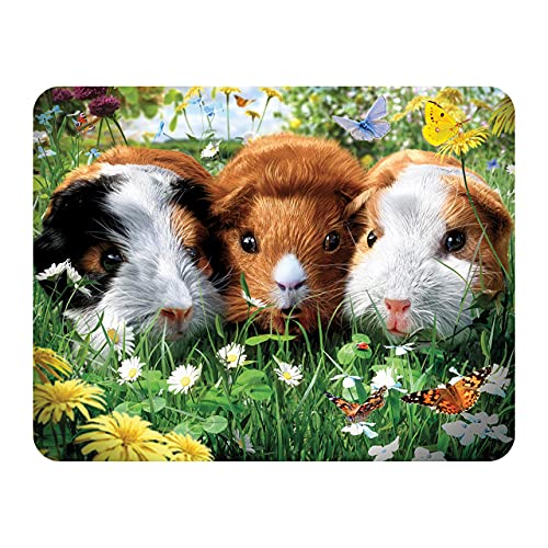 3D LiveLife Magnet - Meerschweinchen von Deluxebase. Linsenförmige 3D Haustier Kühlschrankmagnet. Dekoration für Kinder und Erwachsene mit Kunstwerk lizenziert von bekannt Künstler, David Penfound von 3D LiveLife