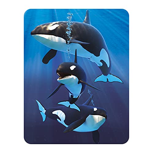 3D LiveLife Magnet - Orca von Deluxebase. Linsenförmige 3D Wal Kühlschrankmagnet. Dekoration für Kinder und Erwachsene mit Kunstwerk lizenziert von bekannt Künstler, David Penfound von 3D LiveLife