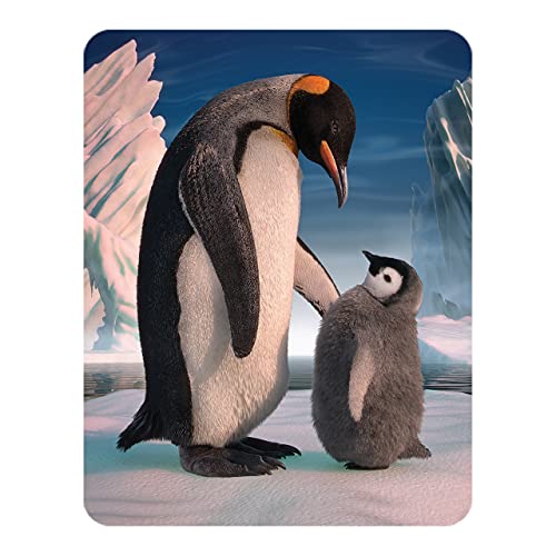 3D LiveLife Magnet - Pinguinsohn von Deluxebase. Linsenförmige 3D Ozean Kühlschrankmagnet. Dekoration für Kinder und Erwachsene mit Kunstwerk lizenziert von bekannt Künstler, David Penfound von 3D LiveLife