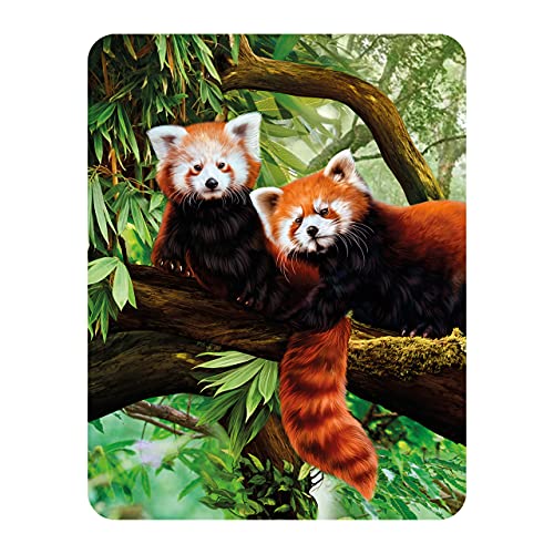 3D LiveLife Magnet - Roter Panda von Deluxebase. Linsenförmige 3D Wildes Tier Kühlschrankmagnet. Dekoration für Kinder und Erwachsene mit Kunstwerk lizenziert von bekannt Künstler, Katrina Sokolo von 3D LiveLife