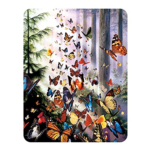 3D LiveLife Magnet - Schmetterling Wald von Deluxebase. Linsenförmige 3D Tierwelt Kühlschrankmagnet. Dekoration für Kinder und Erwachsene mit Kunstwerk lizenziert von bekannt Künstler, David Penfound von 3D LiveLife