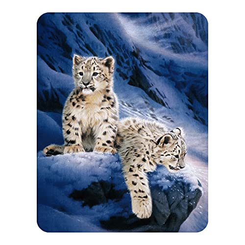 3D LiveLife Magnet - Schneeleopardenbabys von Deluxebase. Linsenförmige 3D Große Katze Kühlschrankmagnet. Dekoration für Kinder und Erwachsene mit Kunstwerk lizenziert von bekannt Künstler, Joh Naito von 3D LiveLife