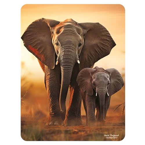 3D LiveLife Magnet - Sunset Stroll from Deluxebase Lenticular 3D Safari Kühlschrankmagnet Magnetisches Dekor für Kinder und Erwachsene mit Kunstwerk, lizenziert vom renommierten Künstler David 3D LiveLife Magnet - Sunset Stroll from Deluxebase Lenticular 3D Safari Kühlschrankmagnet Magnetisches Dekor für Kinder und Erwachsene mit Kunstwerk, lizenziert vom renommierten Künstler David von 3D LiveLife