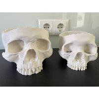 Gruselige Schädelschale | Halloween 3D Druck von 3DEngineeringBraun