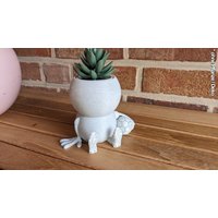 Harry Plant "Franz Soccerplant" Lustiger Blumentopf Mit Fussball - Made in Germany von 3DPiratDE