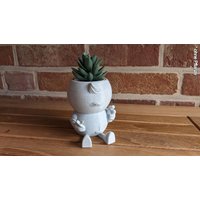 Harry Plant "Hairplant" Lustiger Blumentopf Als Friseur - Made in Germany von 3DPiratDE