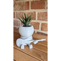 Harry Plant "Jimmyplant" Lustiger Blumentopf Mit E-Gitarre - Made in Germany von 3DPiratDE