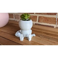 Harry Plant "Michael Airplant" Lustiger Blumentopf Mit Basketball - Made in Germany von 3DPiratDE