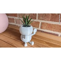 Harry Plant "Trainplant" Lustiger Blumentopf Als Schaffner - Made in Germany von 3DPiratDE
