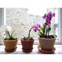 3D Gedruckter Orchideentopf Bio-Basiertes Material, Netzkorb-Design, Mehrere Farben, 4 Größen, Originaldesign von 3DPrintedFarm