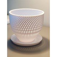 Orchideentöpfe Spline Schale Netzdesign, 16 cm von 3DPrintedFarm