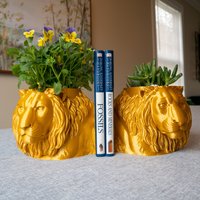 Löwenkopf Pflanztopf Für Pflanzen | Buchstütze Planter Liegender Löwe Übertopf Kopf Blumentopf Kanne von 3DTreasuresStore