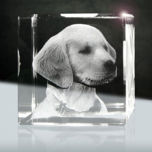 3D Glaslaserfoto | Würfel 50mm | 1 Person oder Tier zB als Geschenk mit deinem lieblings Tier von 3Dglas